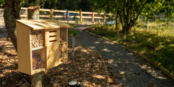 Photo of bug box on wheelchair accessible path
